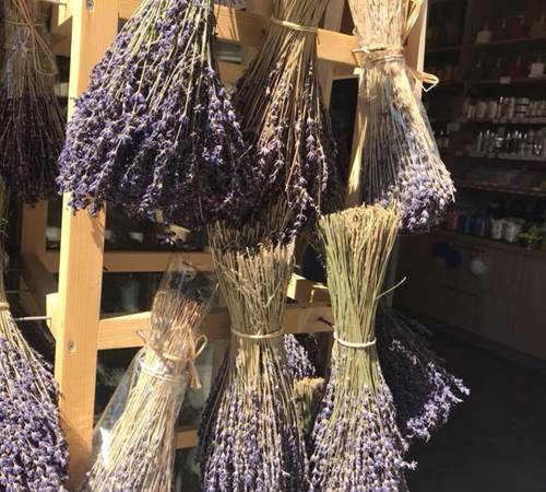 39285745_1917119475022438_3834875422701518848_n-photo-news