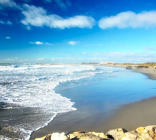coastline-saintes-maries-de-la-mer-camargue-france-shot-was-taken-last-december-beach-department-bouches-du-118052871-galerie
