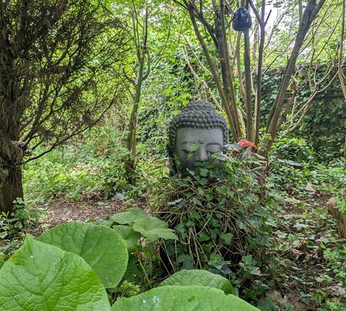 Sans titre-photo-page