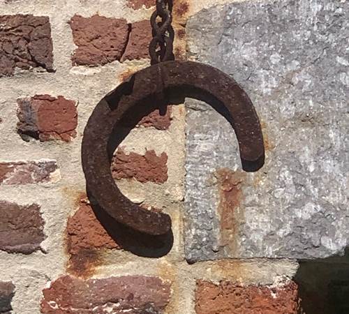 Gîte Verveine Marguerite - groupe 14 personnes Wallonie Namur Gembloux-galerie