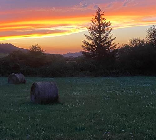 IMG-20230822-WA0000-galerie