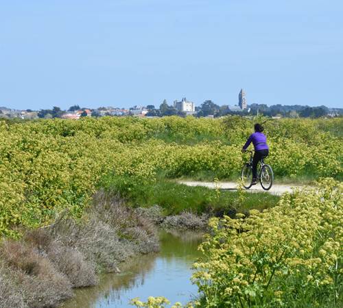 Balade à vélo