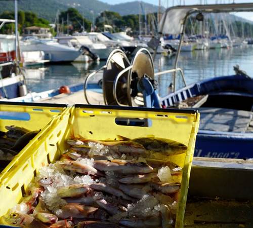 csm_PECHE_POISSON_PORT_f76d23bff7