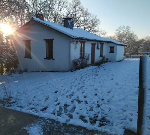 IMG-20210124-WA0006