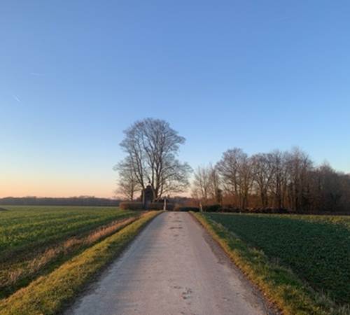 B22B7754-2843-4A39-89E8-B59FDBFDA6B8_4_5005_c-galerie