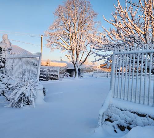 L'Enclos bleu sous la neige