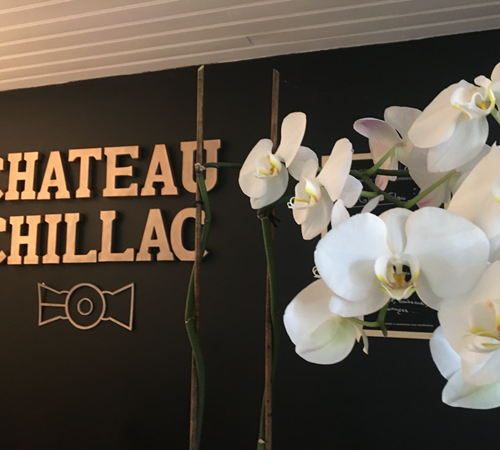 Orchidée-photo-page