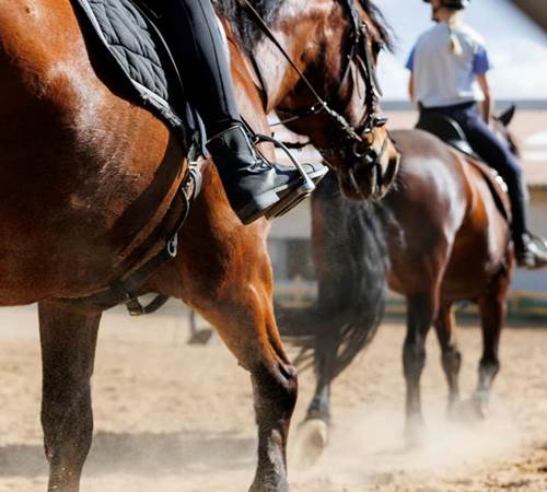 Sans titre-photo-page