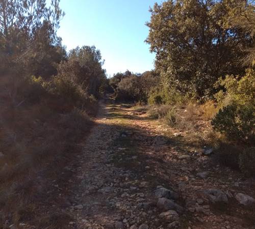 Sur le chemins