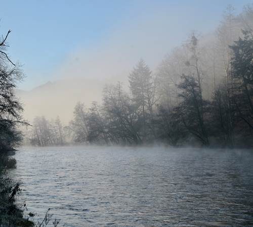 Een mysterieuze ochtendmist stijgt op boven de rivier tegenover de ecolodge-galerie