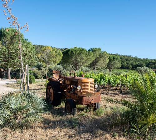 VIEUX TRACTEUR 1 REDI
