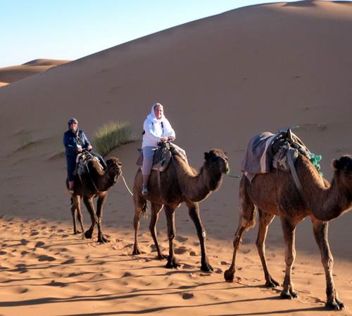 Randonnée chamelière