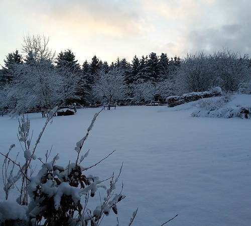 20200228_074030-galerie