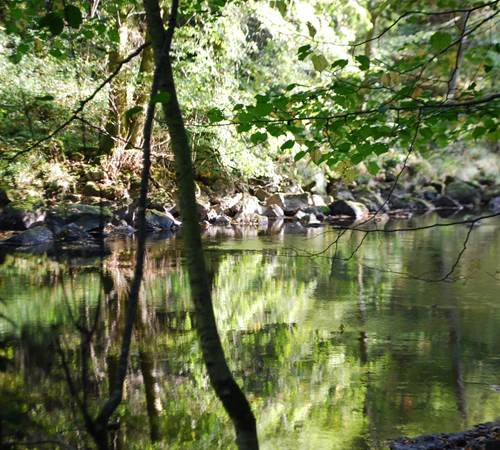la Vienne à La Lérisse  20' à pied du Ranch des Lacs Hébergement Parc Naturel régional de Millevaches-photo-page