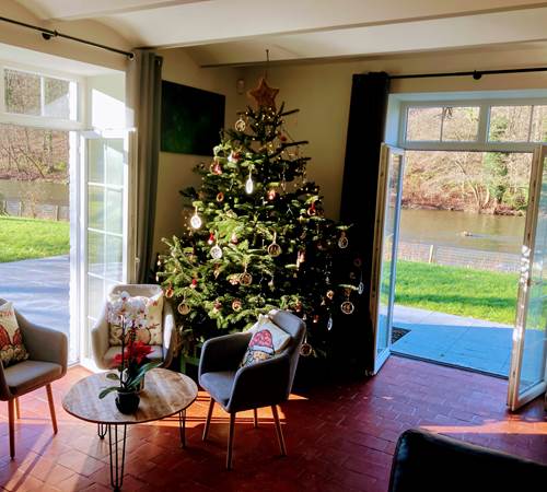 kerstboom-ambleve-oever-tuin-ecolodge-galerie
