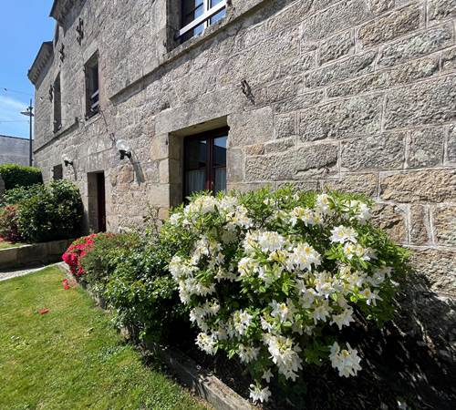 La cour en fleur-galerie