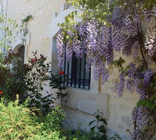 jardin-luxuriant-maison-hotes-la-grenade-bleue-pons-galerie