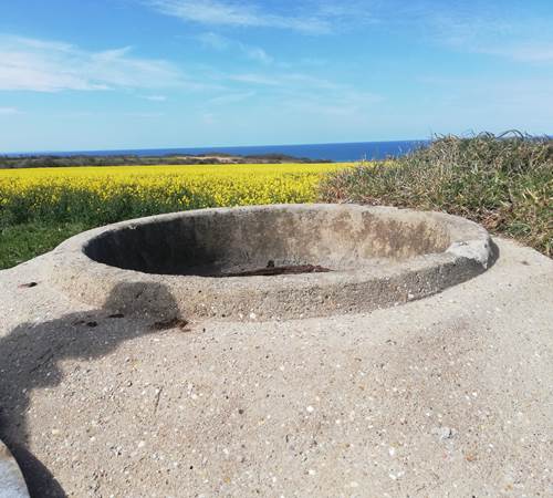 vue-sur-la-mer-champs-de-colza-jaune-vélomaritime-parcours-pédestre--galerie