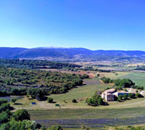 panorama