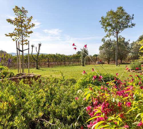 Domaine des Peirecedes-0139