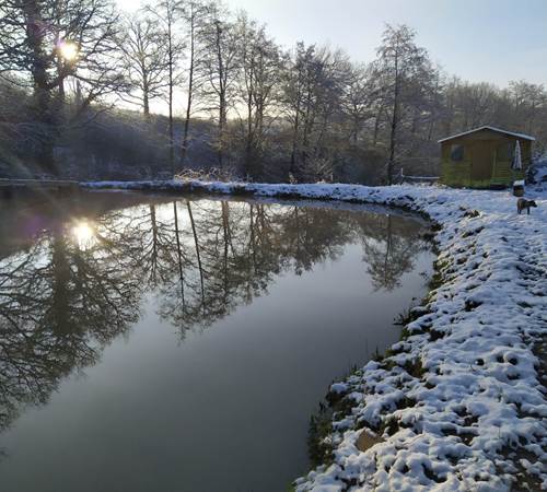 IMG-20210124-WA0026