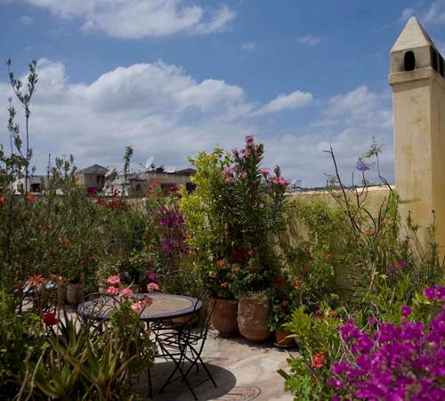 Riad Bartal_2-galerie