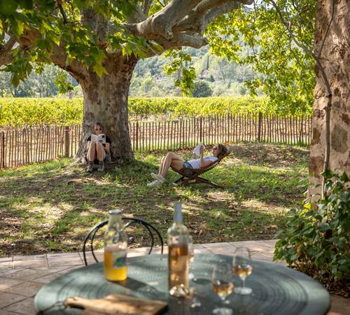 Domaine des Peirecedes-0258
