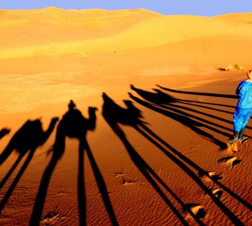 Randonnée chamelière