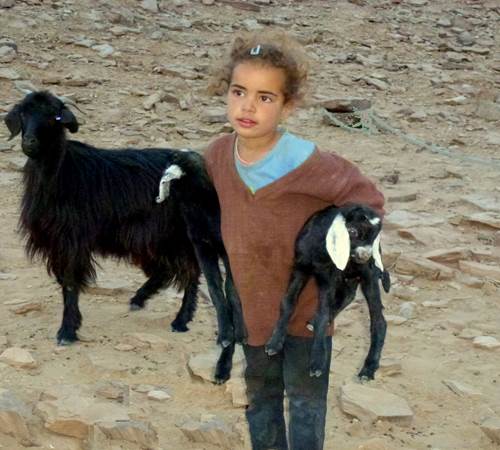 Petite fille nomade avec ses chèvres