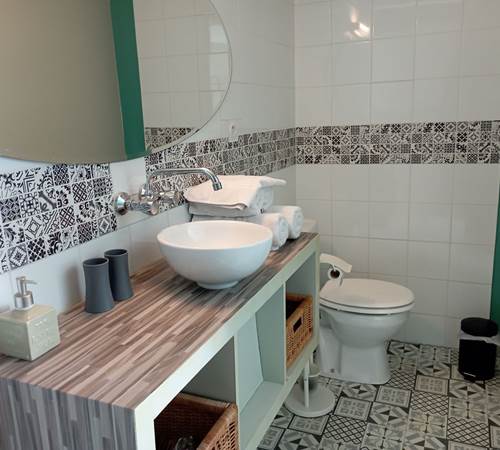 Chambre Garrigue - la salle d'eau-galerie