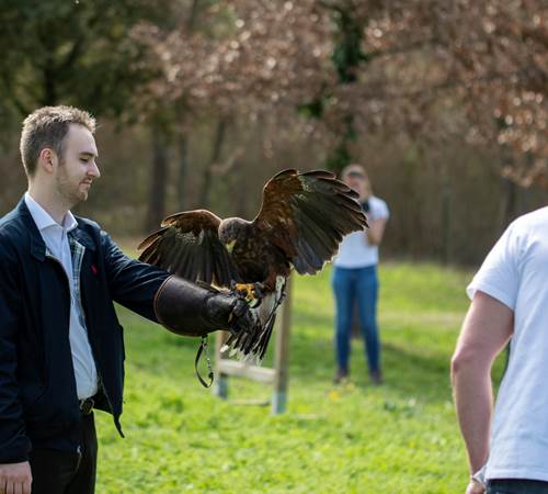 Exercice de rappel-photo-page