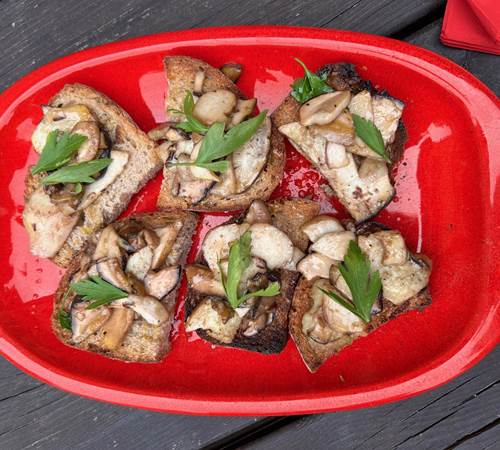 pan con ceps-galerie