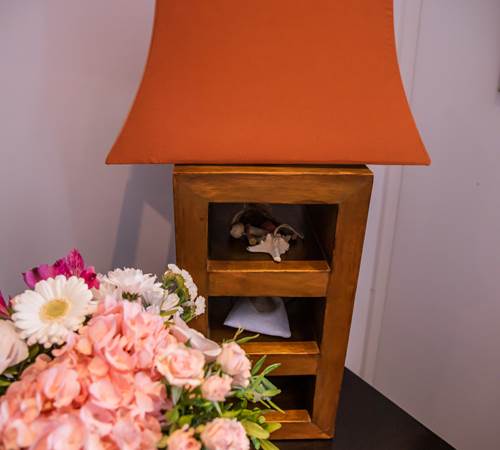 Chambre 1 Lumière-galerie