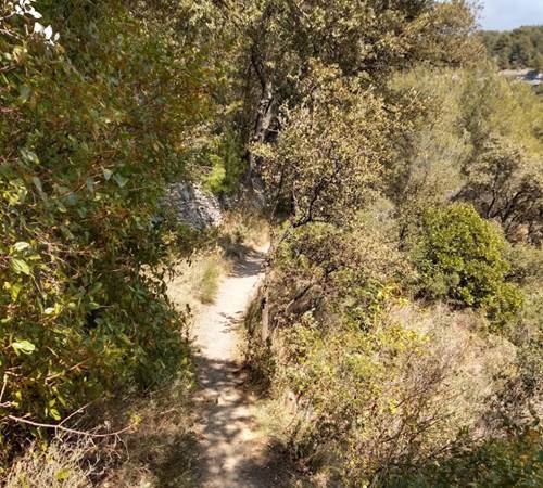 petit chemin