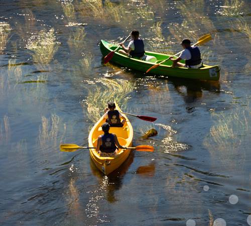 01901-OTVD-CC-BY-NCMalika-Turin---Vallee-de-la-Dordogne.jpg-1200px-galerie