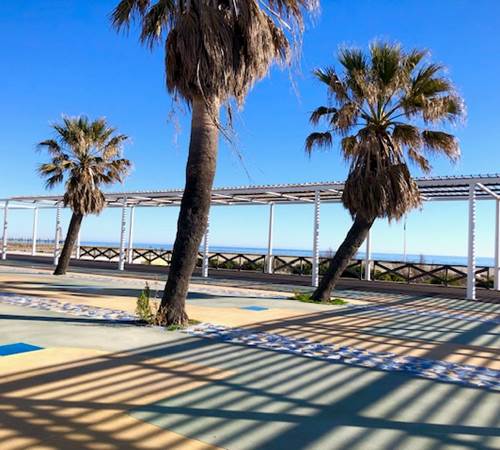 Promenade en bord de mer avec palmiers à Port Leucate-galerie