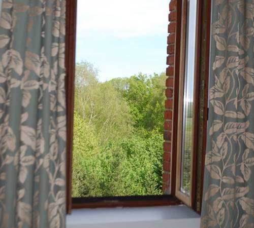 vue sur la nature Chambre Cabanon En Haute-Vienne Le Ranch des Lacs-galerie