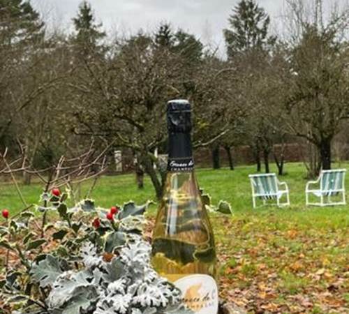 coupe de champagne offerte!-galerie