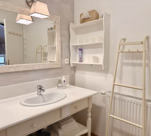 La salle de bains-galerie