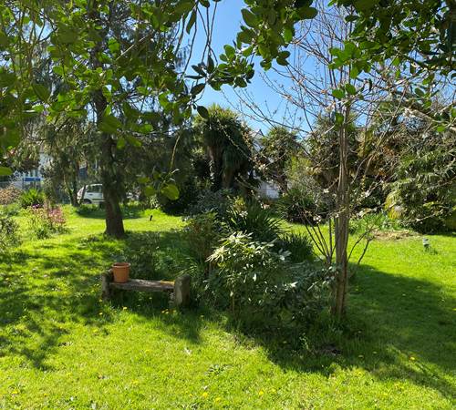 Sans titre-photo-page