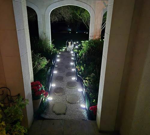 Allée qui va du parking à l'entrée principale.-galerie