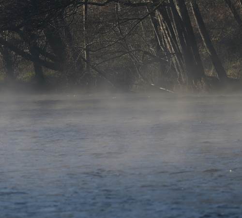 Morgenmist - Brume matinale - Morgennebel - Morning mist-photo-page