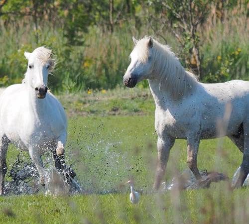 Sans titre-photo-news