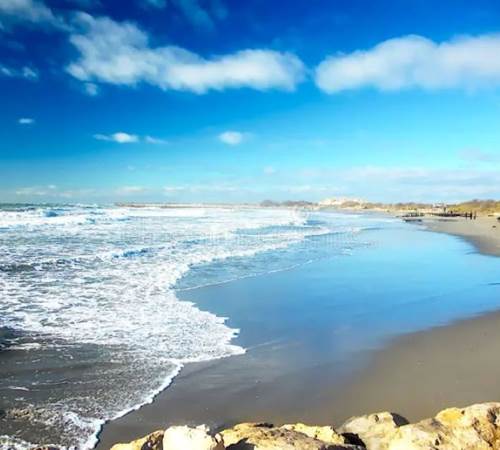 coastline-saintes-maries-de-la-mer-camargue-france-shot-was-taken-last-december-beach-department-bouches-du-118052871-galerie