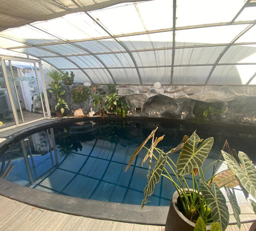 Piscine extérieur 