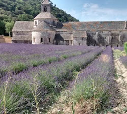 Abbaye de sénanque