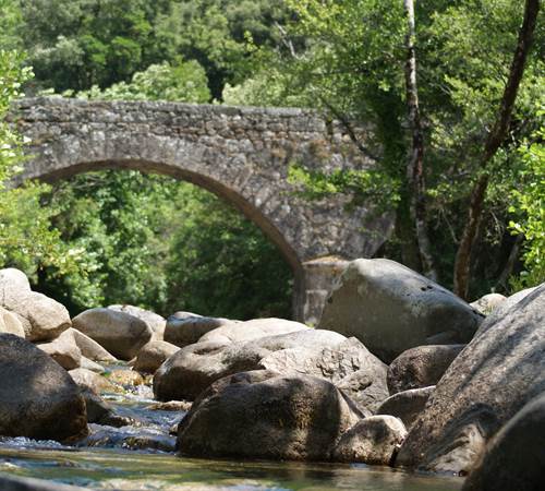 Sans titre-photo-page