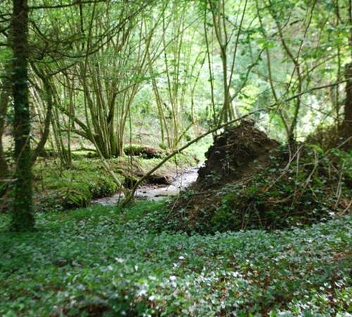 le ruisseau des fantaisies Vervialle 87120 Augne-galerie