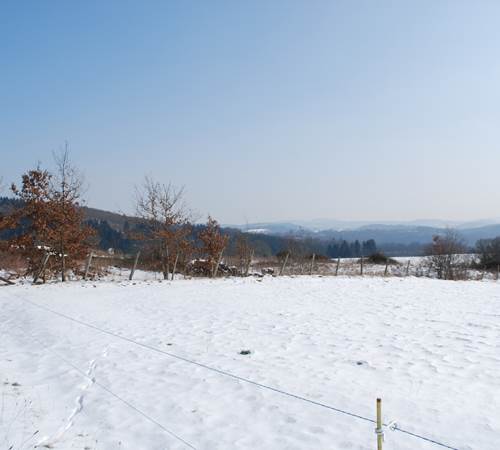 paysage d'hiver, vue devant le Ranch des Lacs Vervialle 87120-photo-page