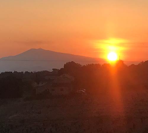 Le Mas Mellou : Lever de soleil sur le Mont Ventoux-galerie
